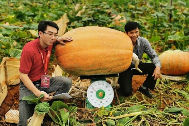 Tour Đà Lạt - Khám Phá những điểm checkin tại Đà Lạt ngàn hoa